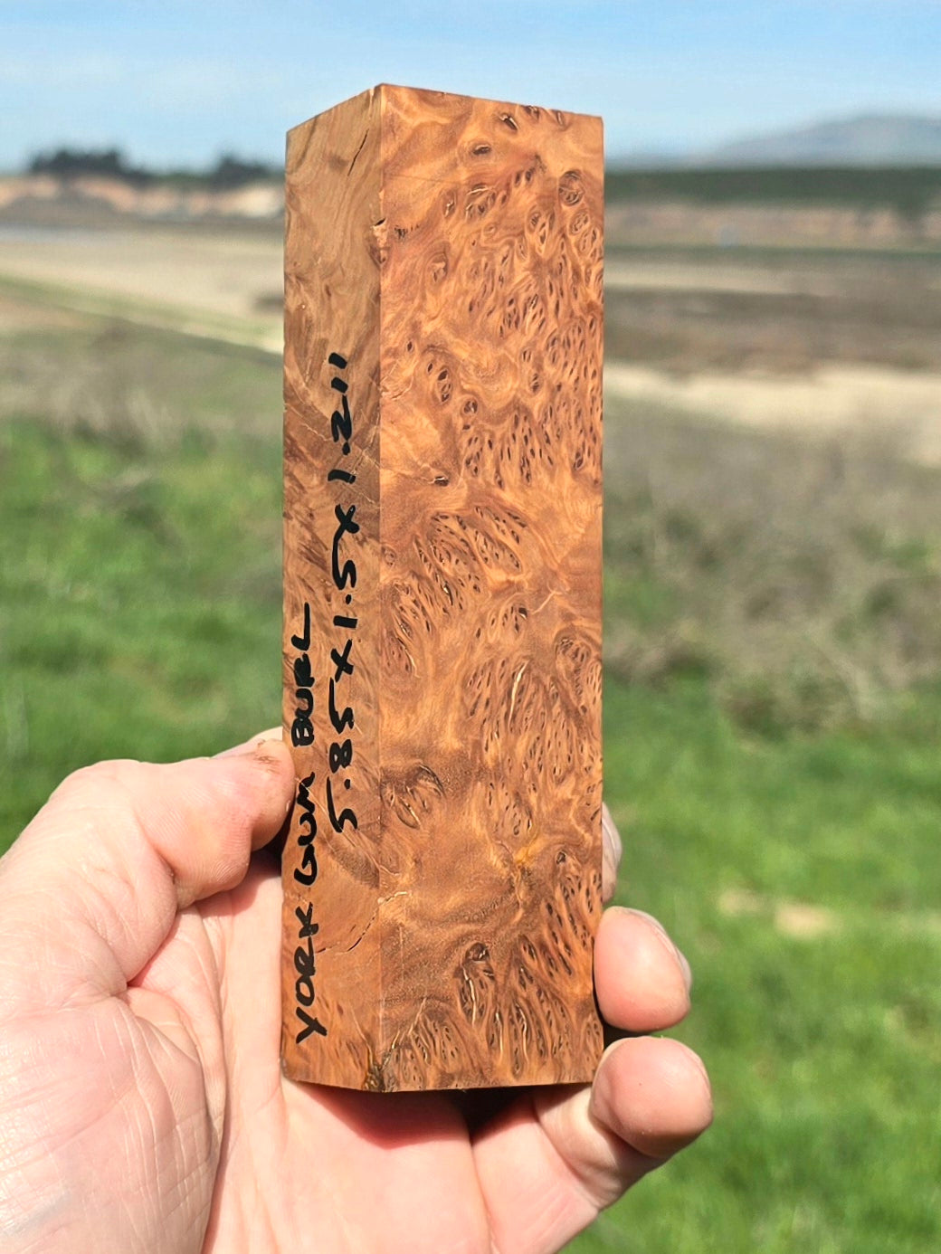 Australian York Gum burl blank