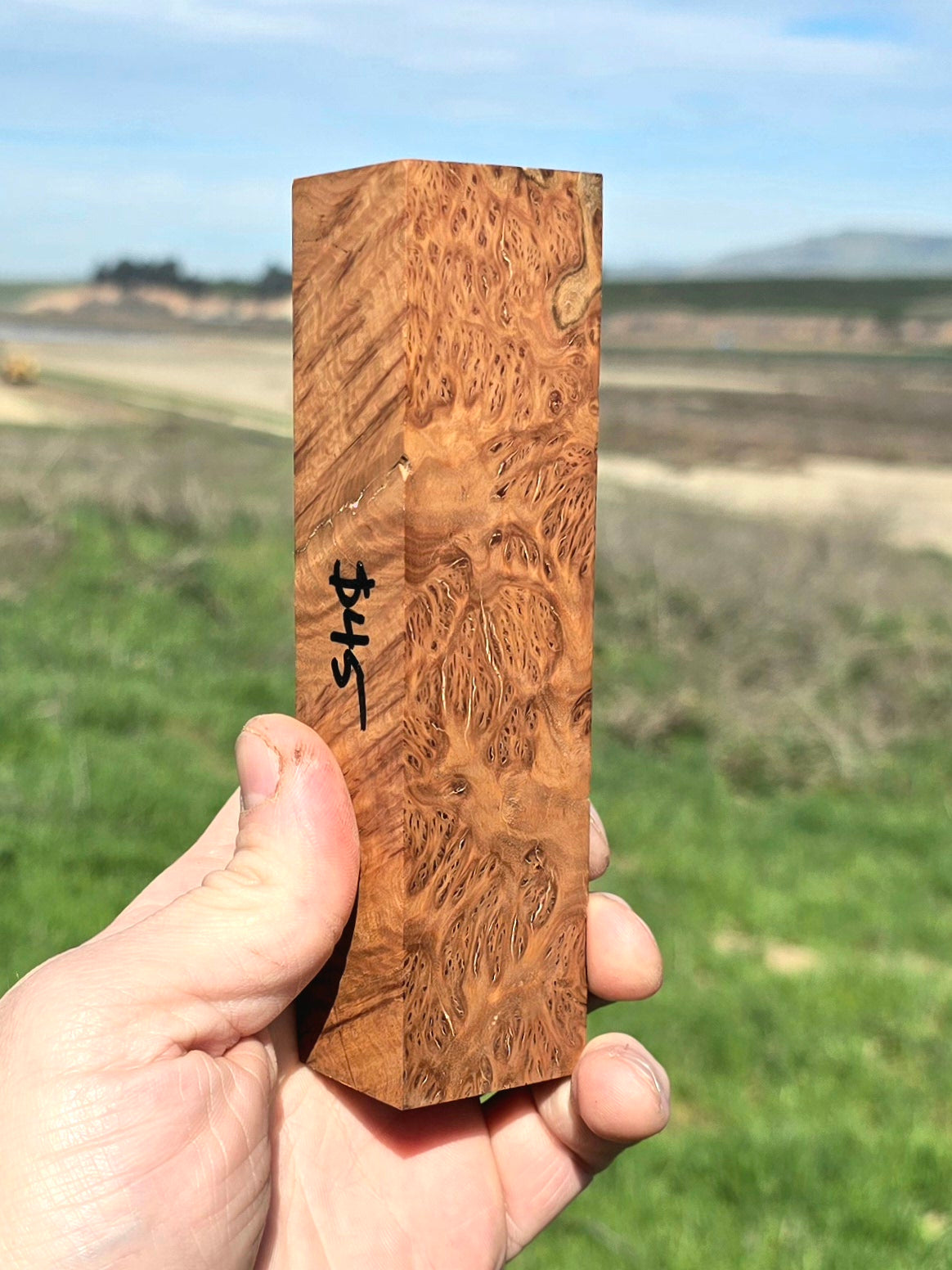 Australian York Gum burl blank