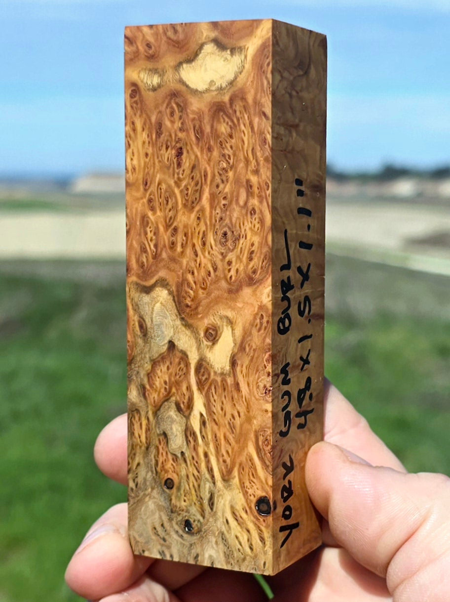 Australian York Gum burl blank