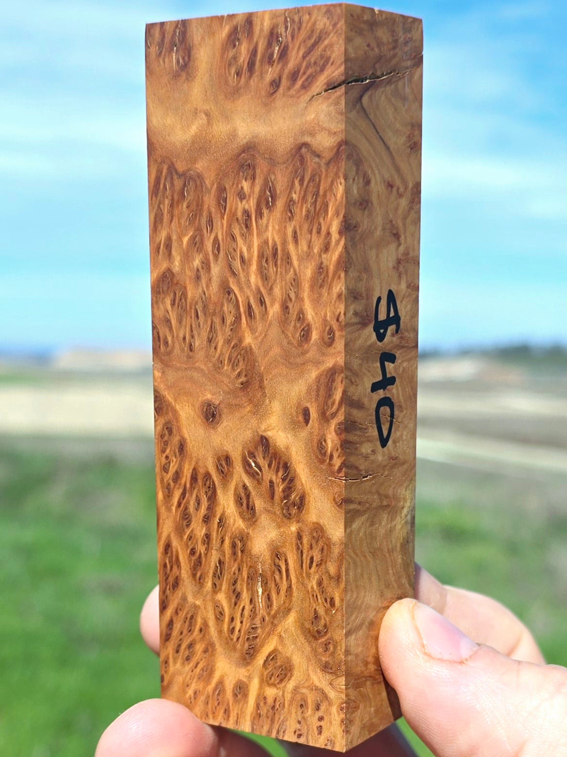 Australian York Gum burl blank