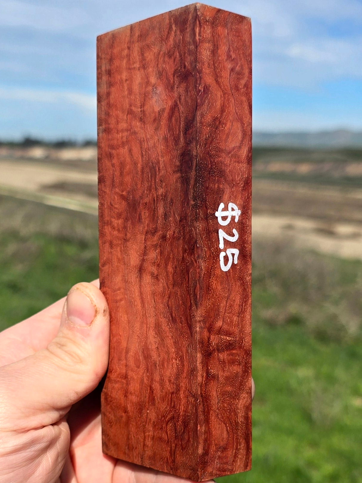 Beeswing Redgum Eucalyptus blank