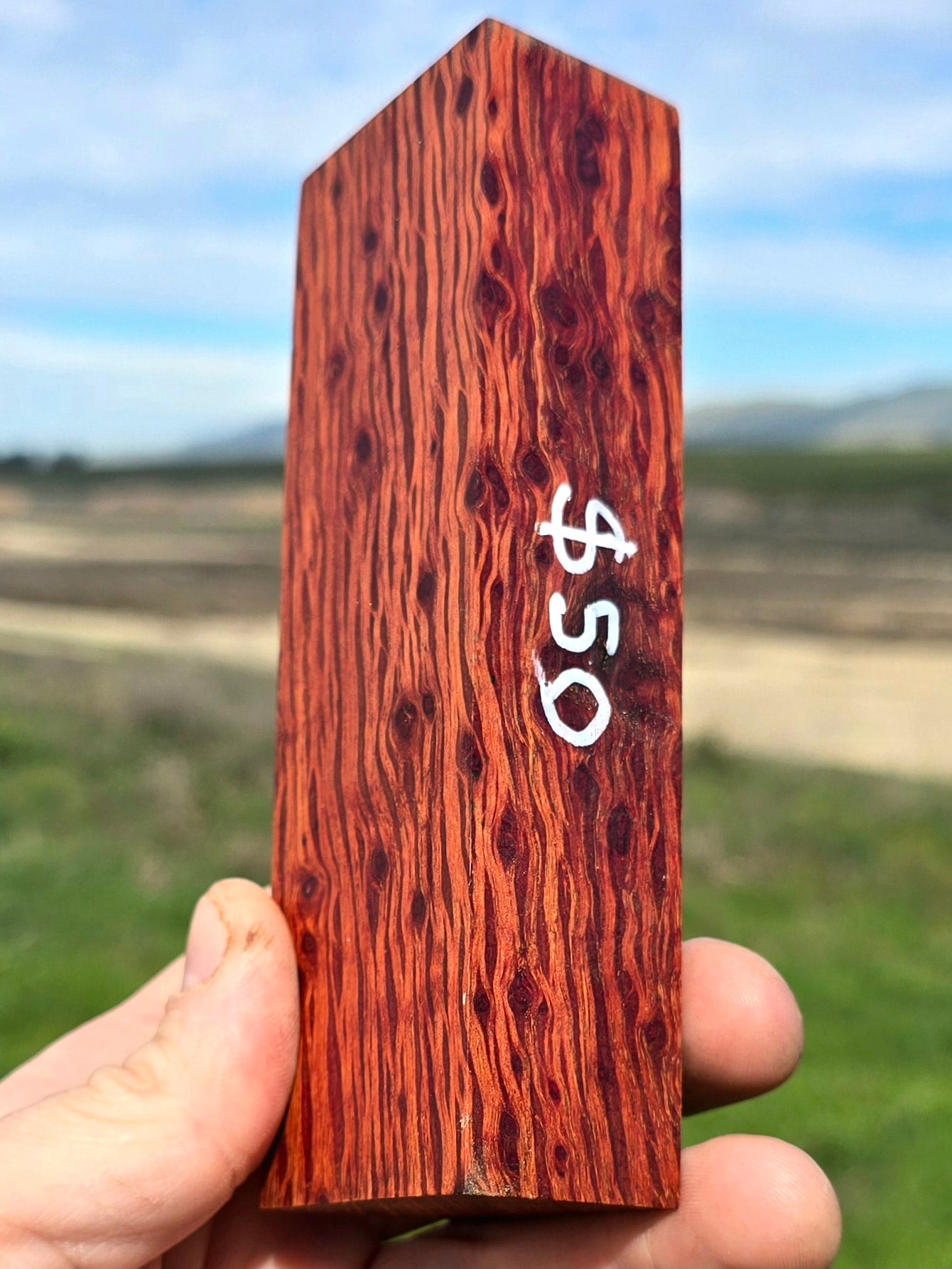 Birdseye Lace Sheoak blank
