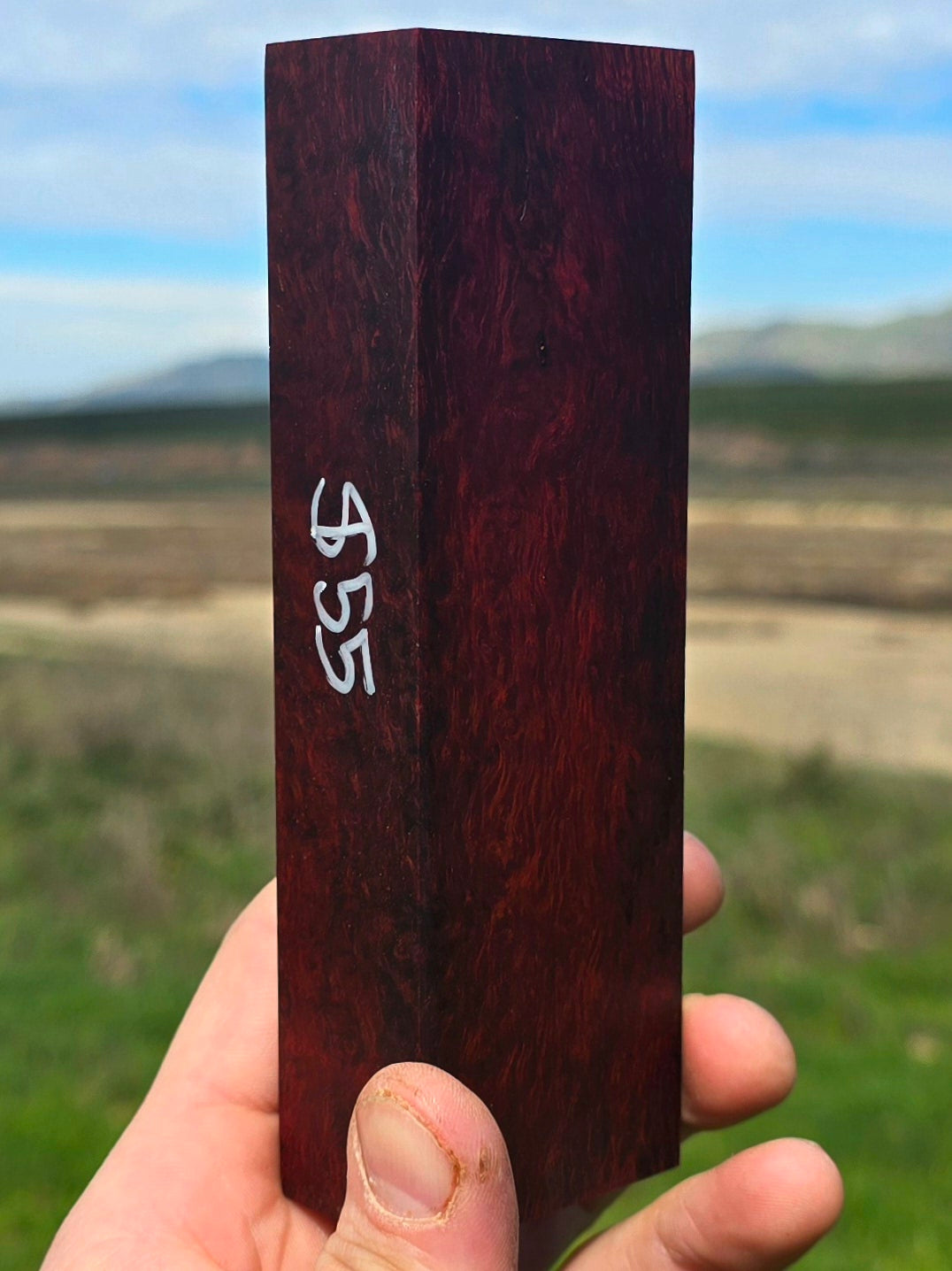 Lace Sheoak blank