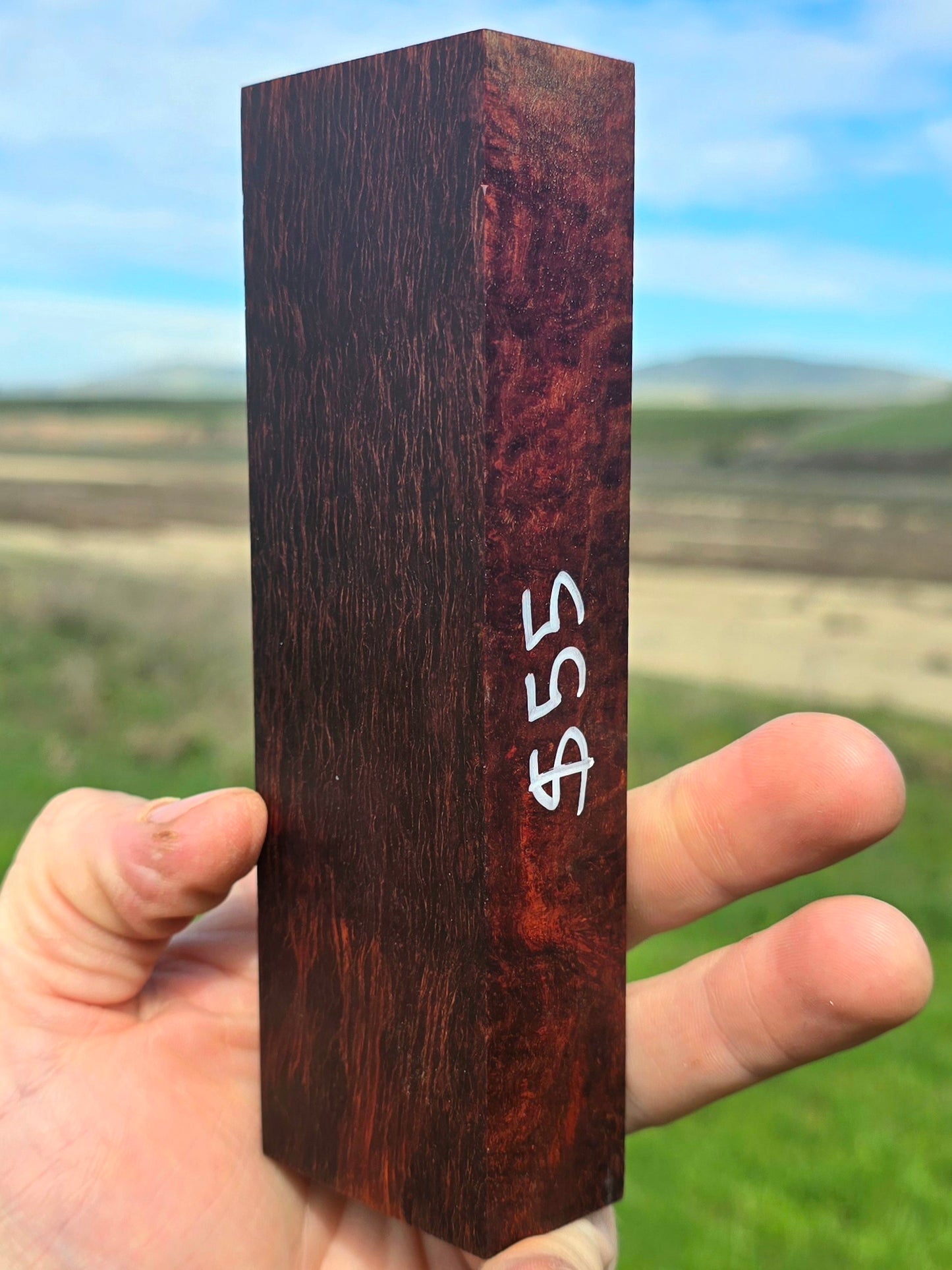 Lace Sheoak blank