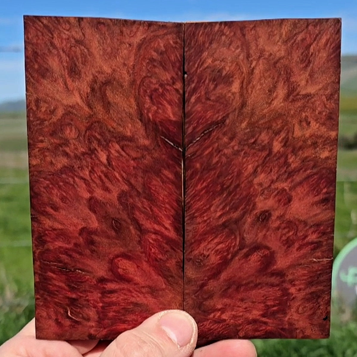 Red Mallee burl scales