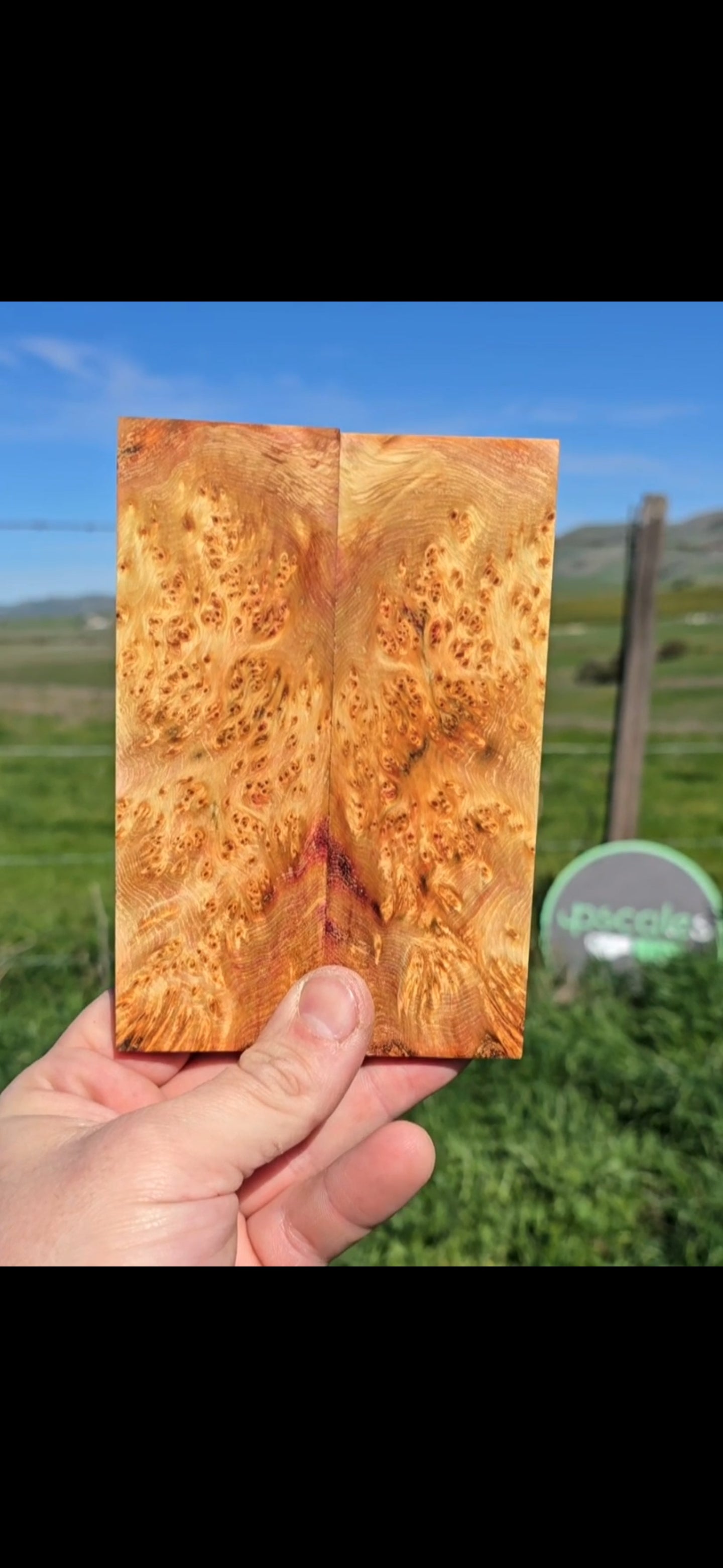 Yellow Cedar burl (YCB) scales