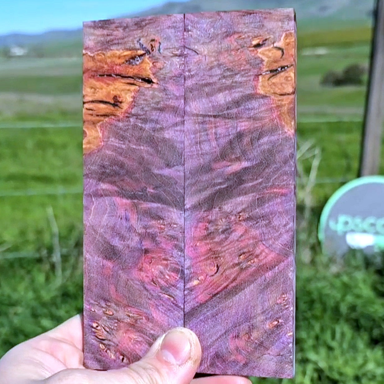Maple burl scales