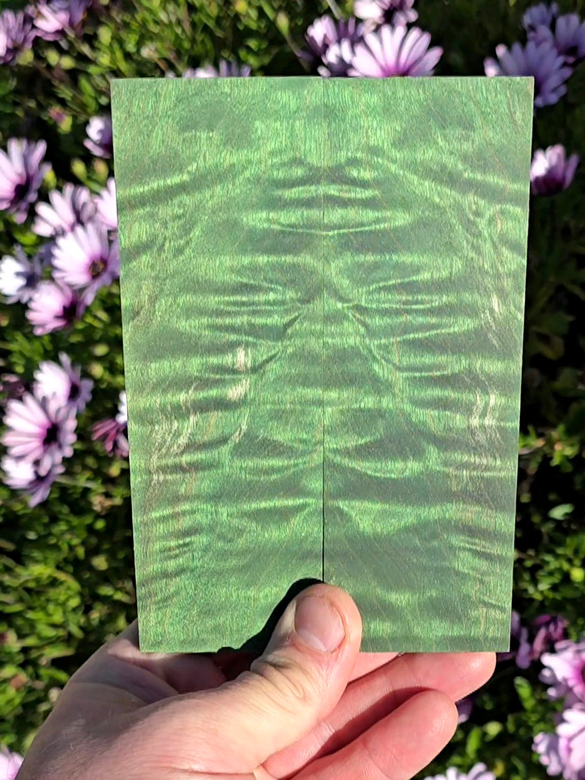 Angel-step Maple scales