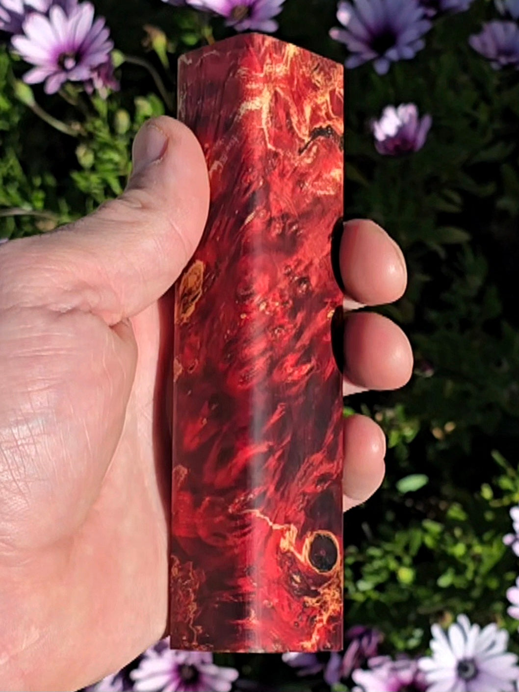 Box Elder burl blank