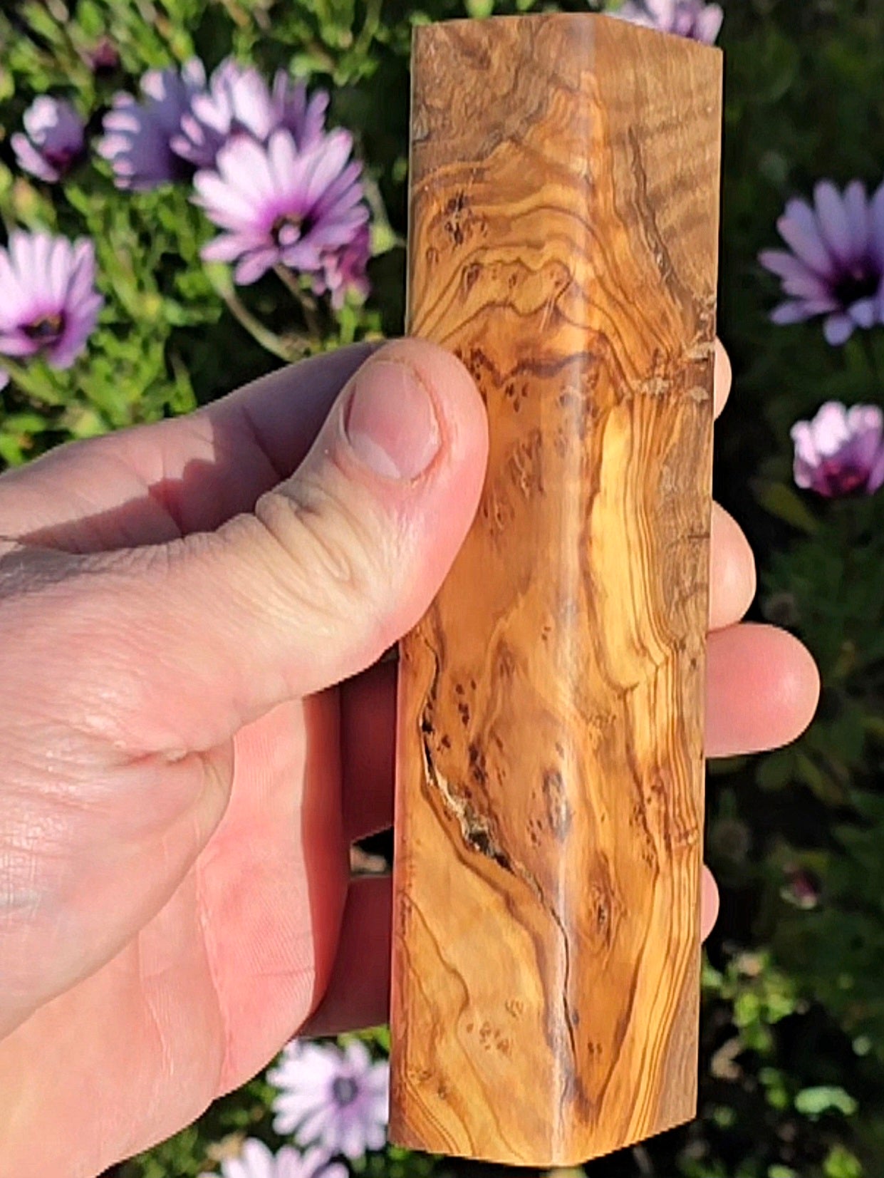 Olive burl blank