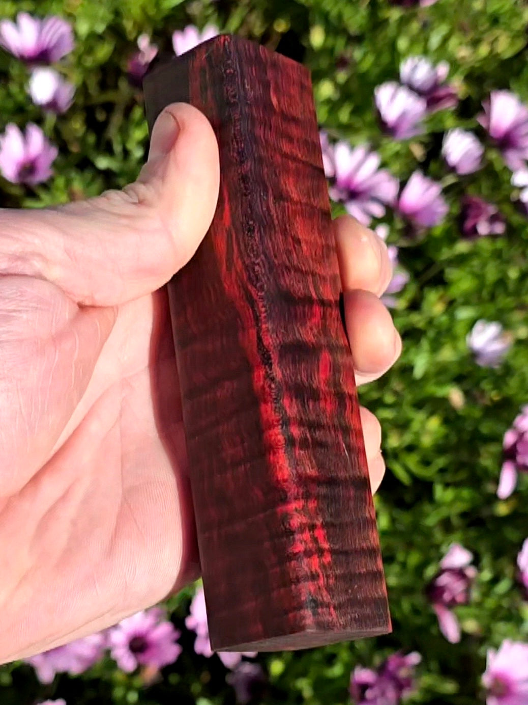 Spalted English Sycamore blank