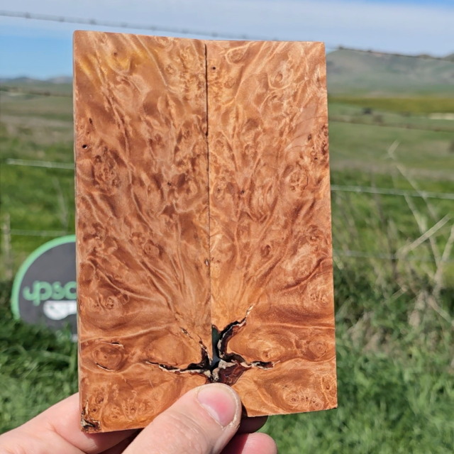Maple burl scales