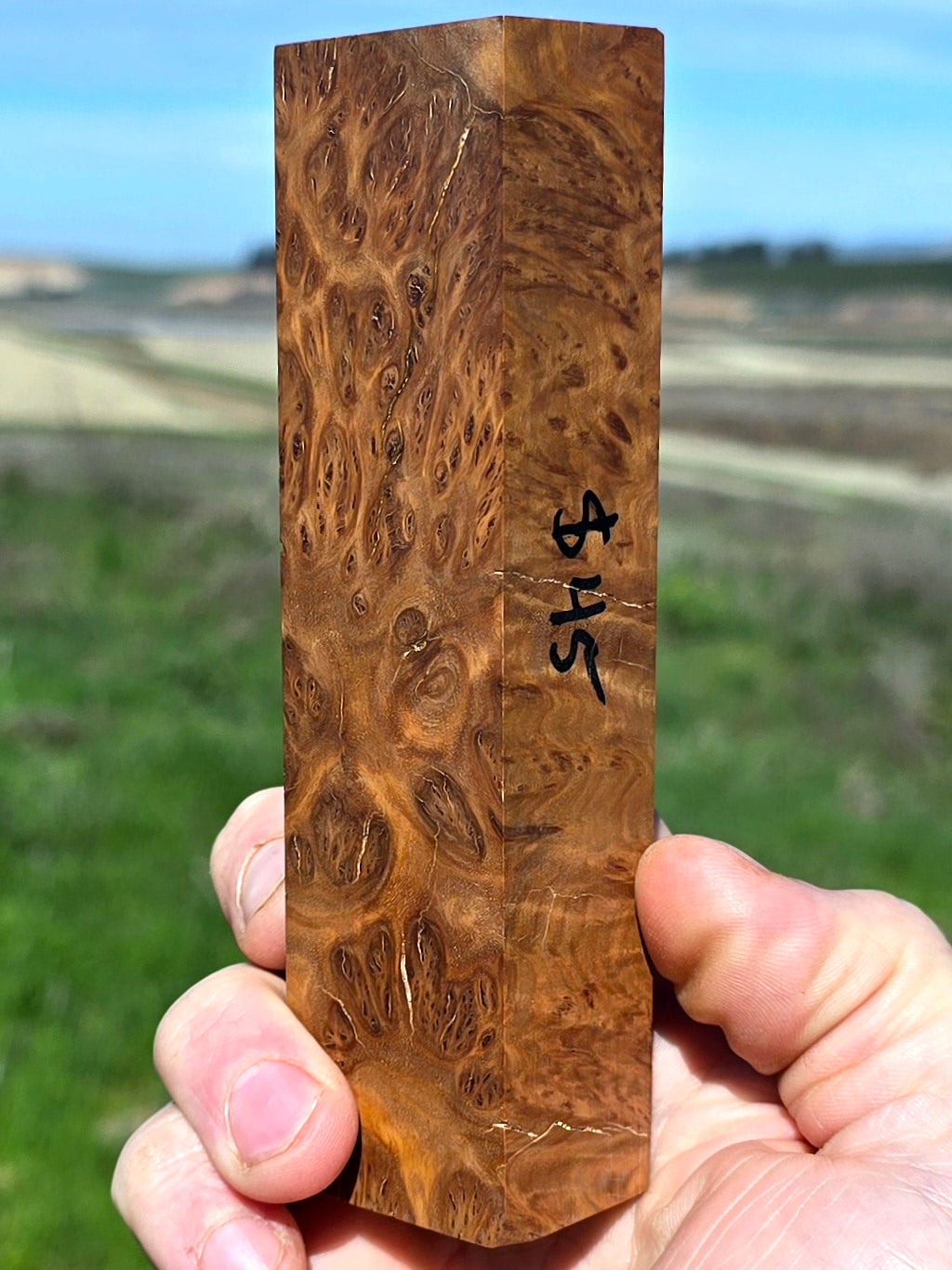 Australian York Gum burl blank